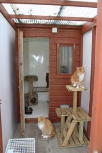 A cats cottage chalet