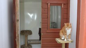 A cats cottage chalet