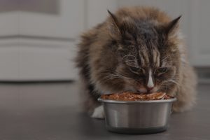 DIETARY-HERO-1920x1280