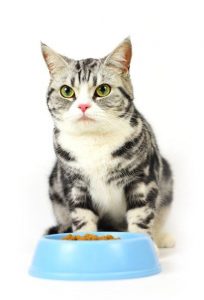 DIETARY-row1-400x588-600w