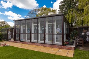Content cat resting in a calm and caring cattery environment