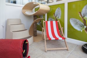 Professional and Caring Cat Environment