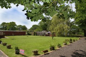 The grounds within the cattery