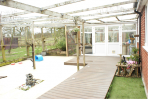 Professional cat care facility providing comfort and attention