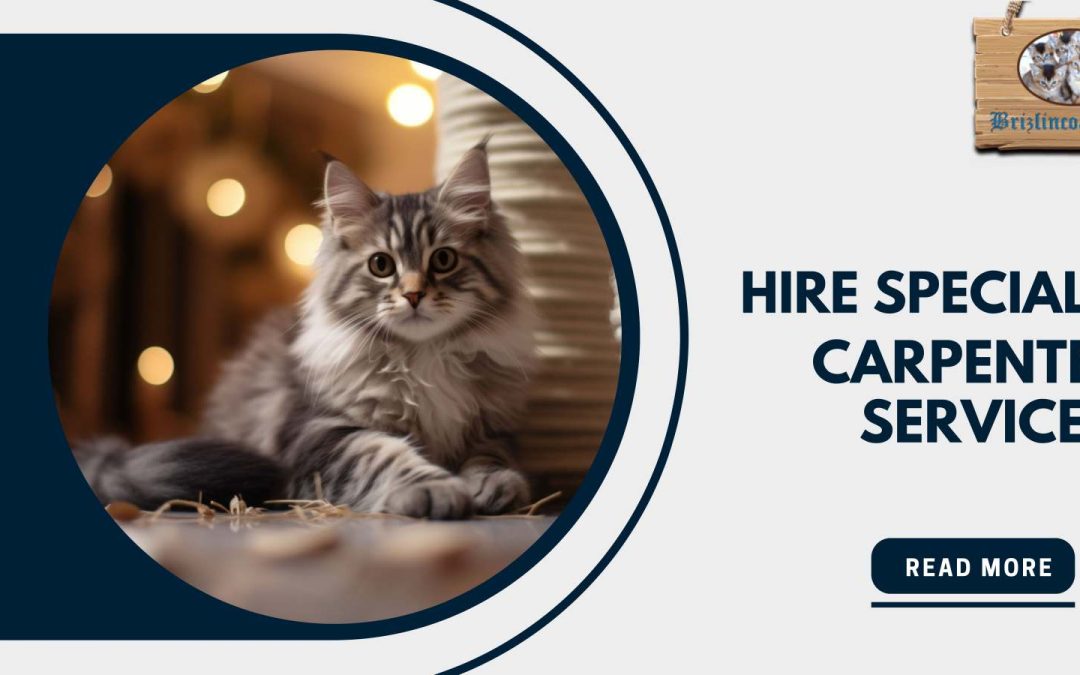 Signs That Suggest that You Need Cat Consultation