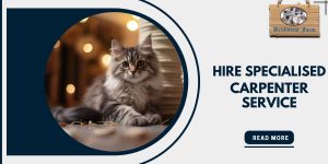 cat consultation Birmingham